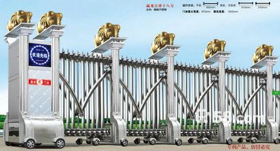 电动豪华伸缩门
